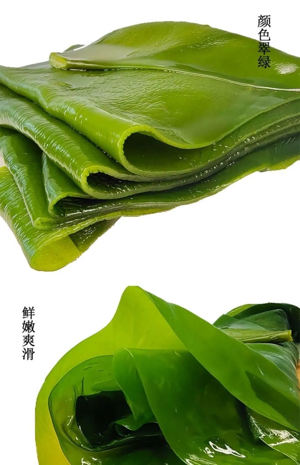 海带整颗裙带菜海带丝海白菜海带结海带头火锅配菜凉拌菜咸菜海带整颗