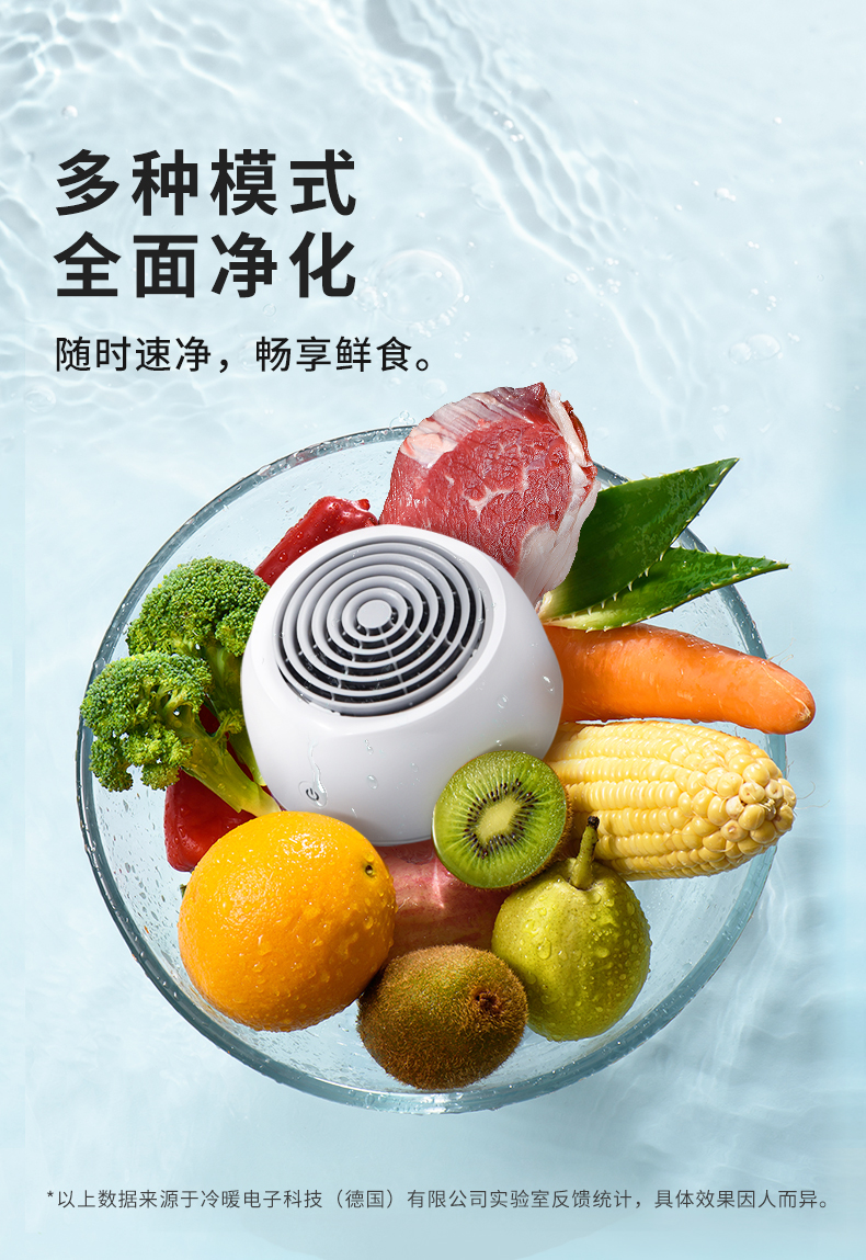 德国超声波果蔬农药清洗机净化器消毒机家用洗菜水果肉食材去除农药