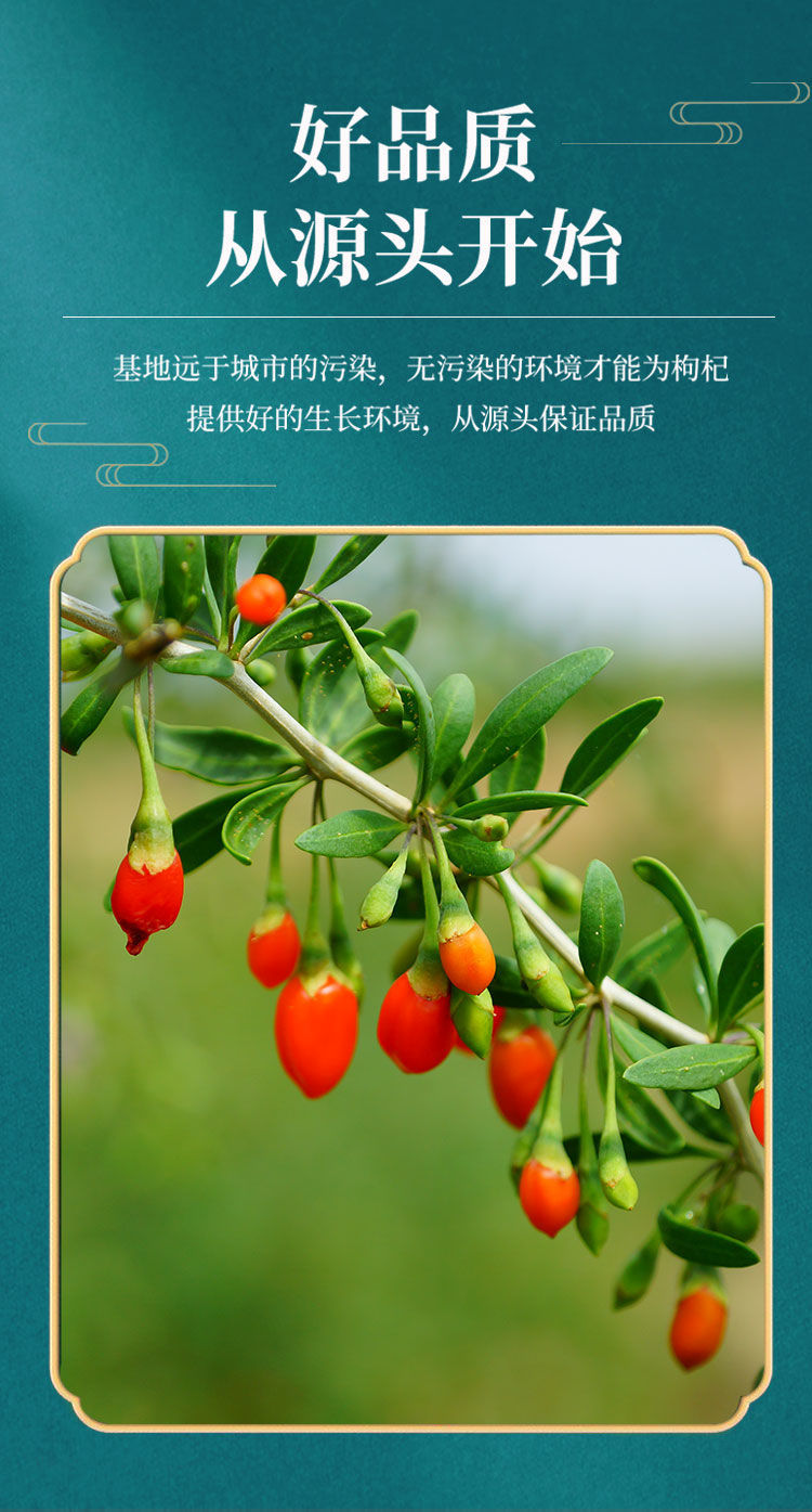新货枸杞子特级500g宁夏正宗头茬红枸杞批发野生免洗100g泡水精选无核