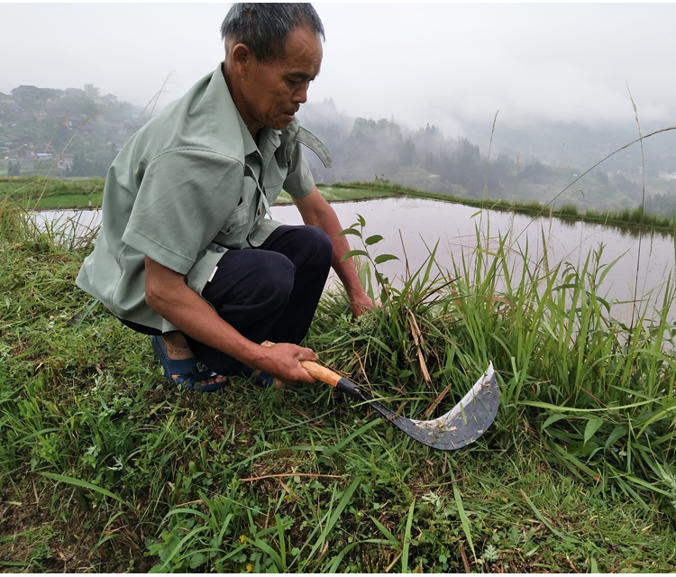 镰刀农用手工锻打夹钢农用镰刀割草刀家用农用链刀镰刀除草多功能手工