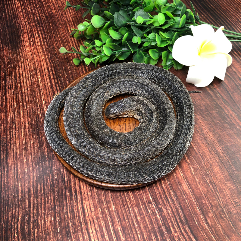 特级四川乌梢蛇中材 乌蛇 乌梢 58一整条酒乌梢蛇 .