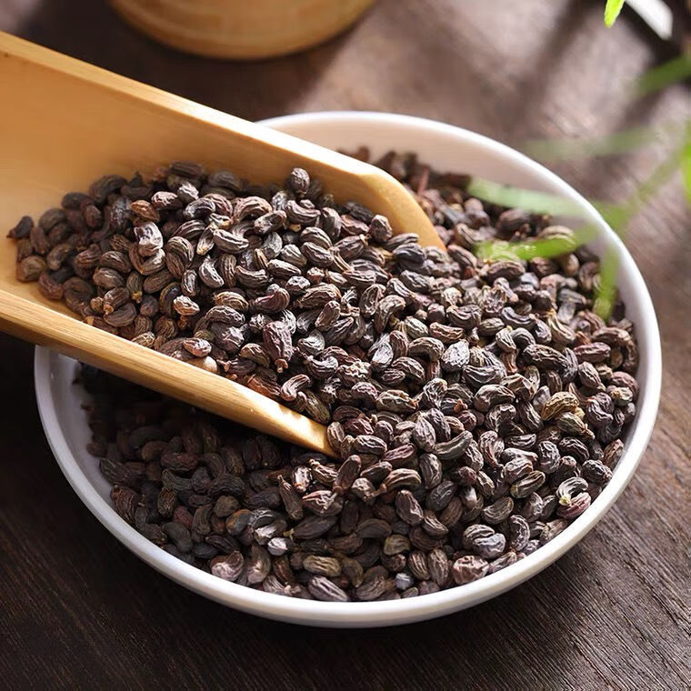 【精品好物】正宗野生深山女贞子 中药女贞子新货无硫 女贞子泡茶