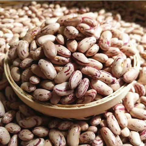 东北白花饭豆农家特色奶花芸豆新豆豆馅粥豆焖饭豆食用豆2斤