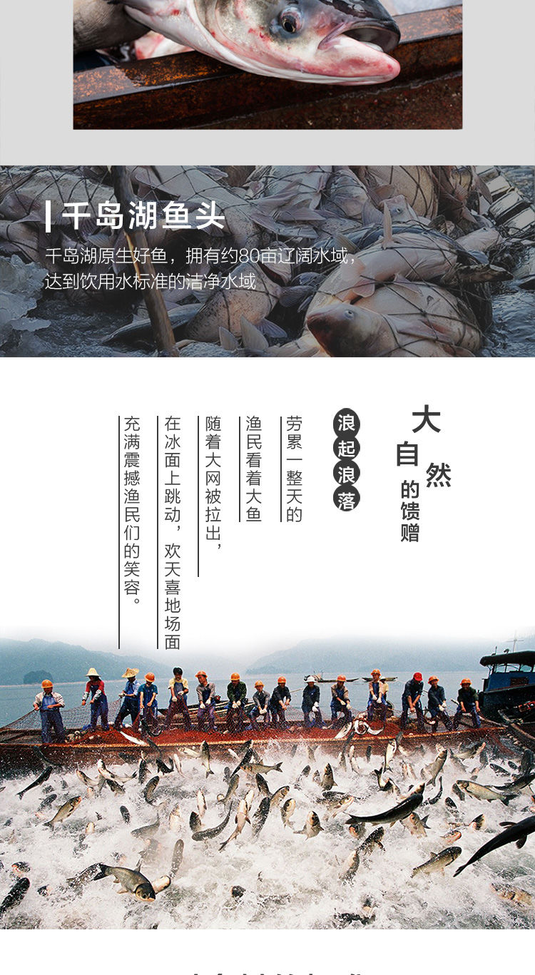 源外园千岛湖大鱼头胖头鱼花鲢鱼鳙鱼剁椒鱼头生鲜鱼类净重156kg25kg