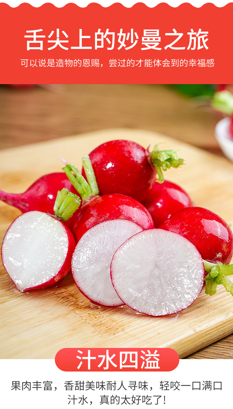 新鲜樱桃萝卜红丁当季水果小红萝卜红丁甜脆青潍坊胡萝卜蔬菜3斤