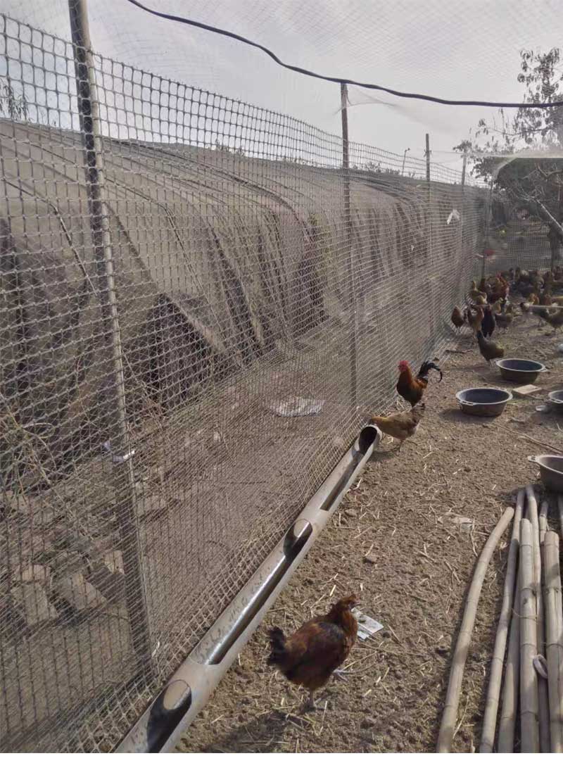 塑料网养殖网养鸡鸭网防护网护栏玉米塑料网格围栏网漏粪小孔户外10米