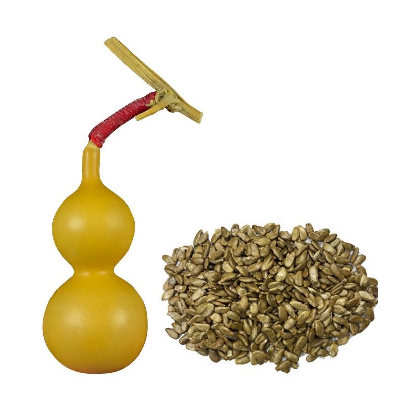 捻葫芦农家菜园四季种植观赏花卉高产宝葫芦籽沐智 手捻葫芦种子10粒