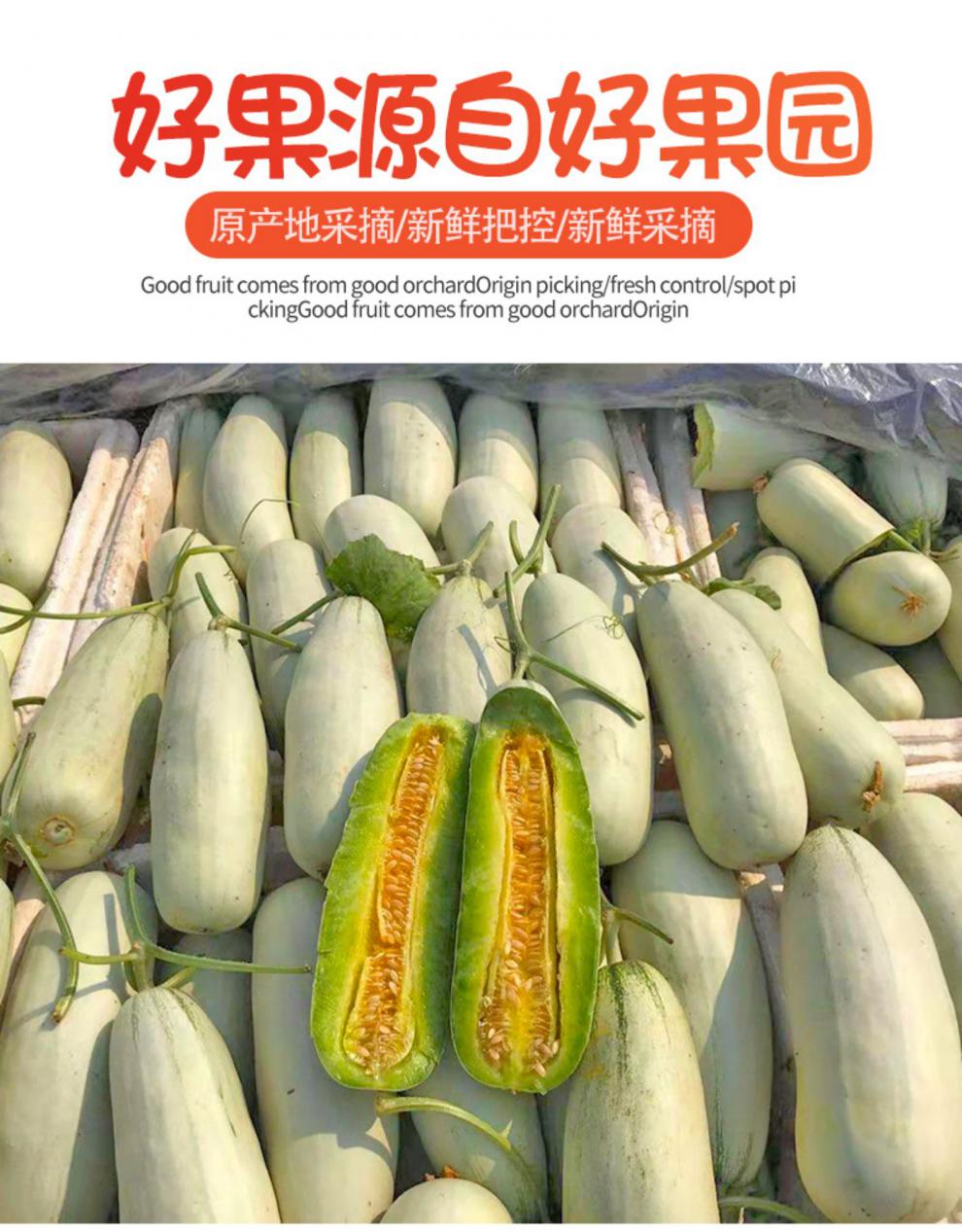山东羊角蜜甜瓜5斤水果新鲜当季整箱羊角脆 (单果300g )装
