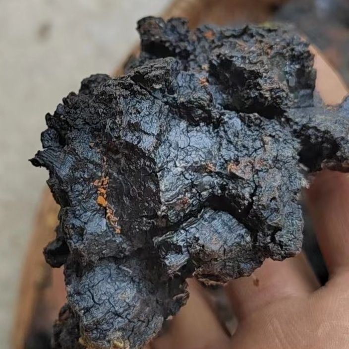 野生俄罗斯桦树茸白桦茸进口桦褐孔菌特级黑金整块切块 桦树茸一斤