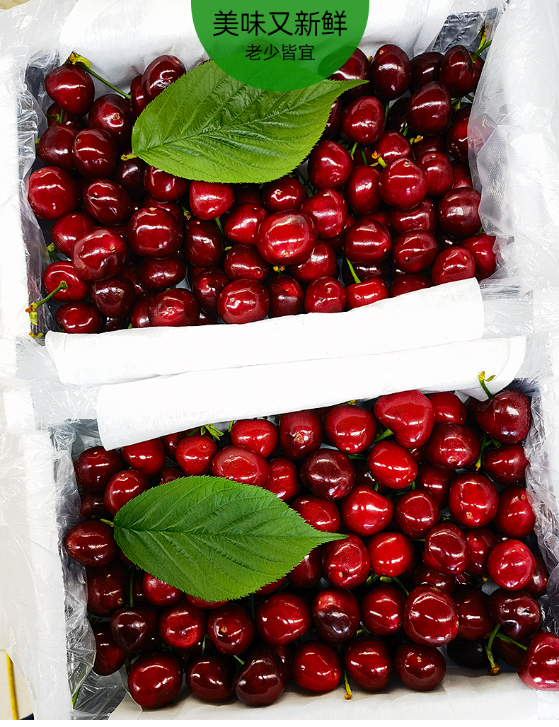 【顺丰空运隔日达】现货山东烟台美早大樱桃新鲜水果当季美早樱桃 j