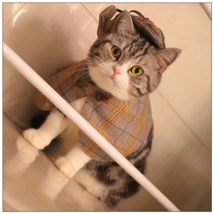 猫咪衣服搞笑福尔摩斯猫宠物侦探服斗篷帽子套装搞笑猫咪衣服拍照可爱