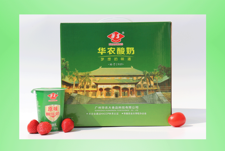 华农酸奶 150g原味酸奶牛奶冷链保鲜酸奶整箱新品 15杯广东省内顺丰