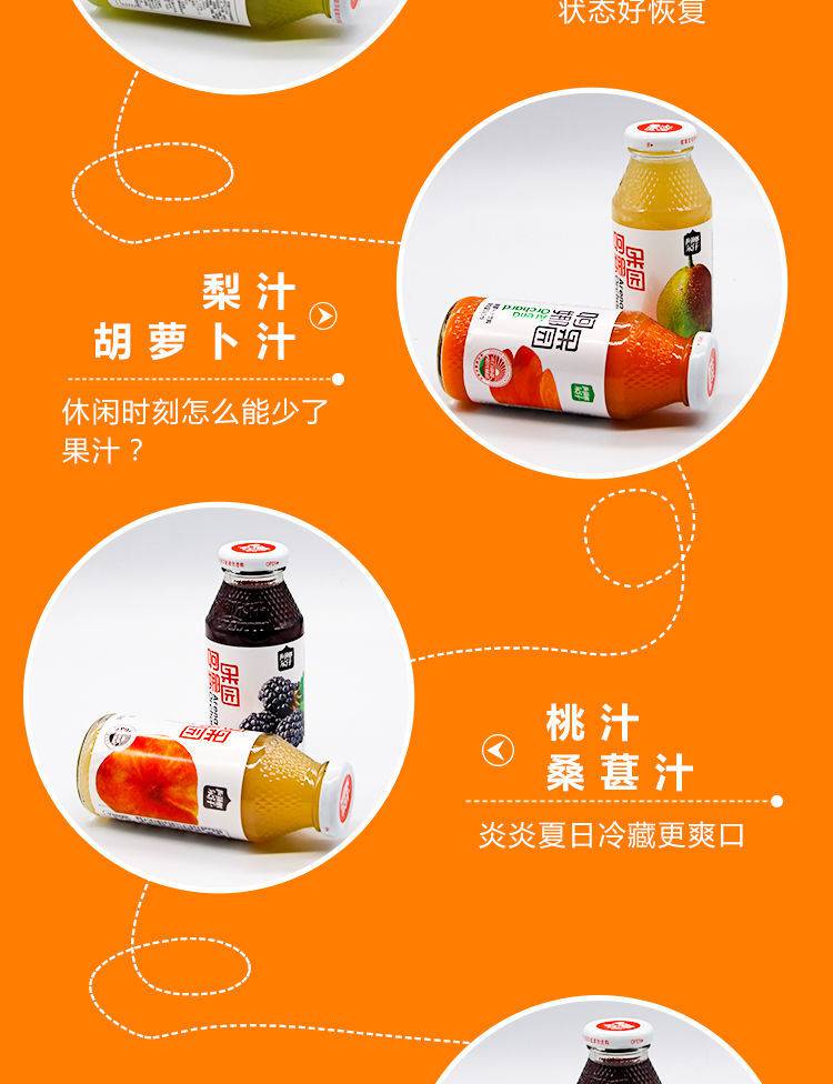 新疆阿娜果园新疆阿娜尔汗果汁饮料石榴汁桃汁小白杏汁黑加仑汁胡萝卜