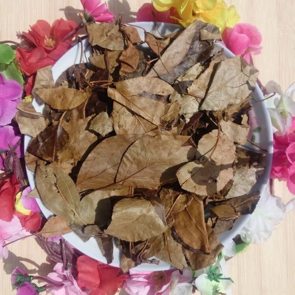 宜昌凝清茶三皮罐野生茶花红茶叶一匹罐湖北凉茶海棠叶林青茶300g