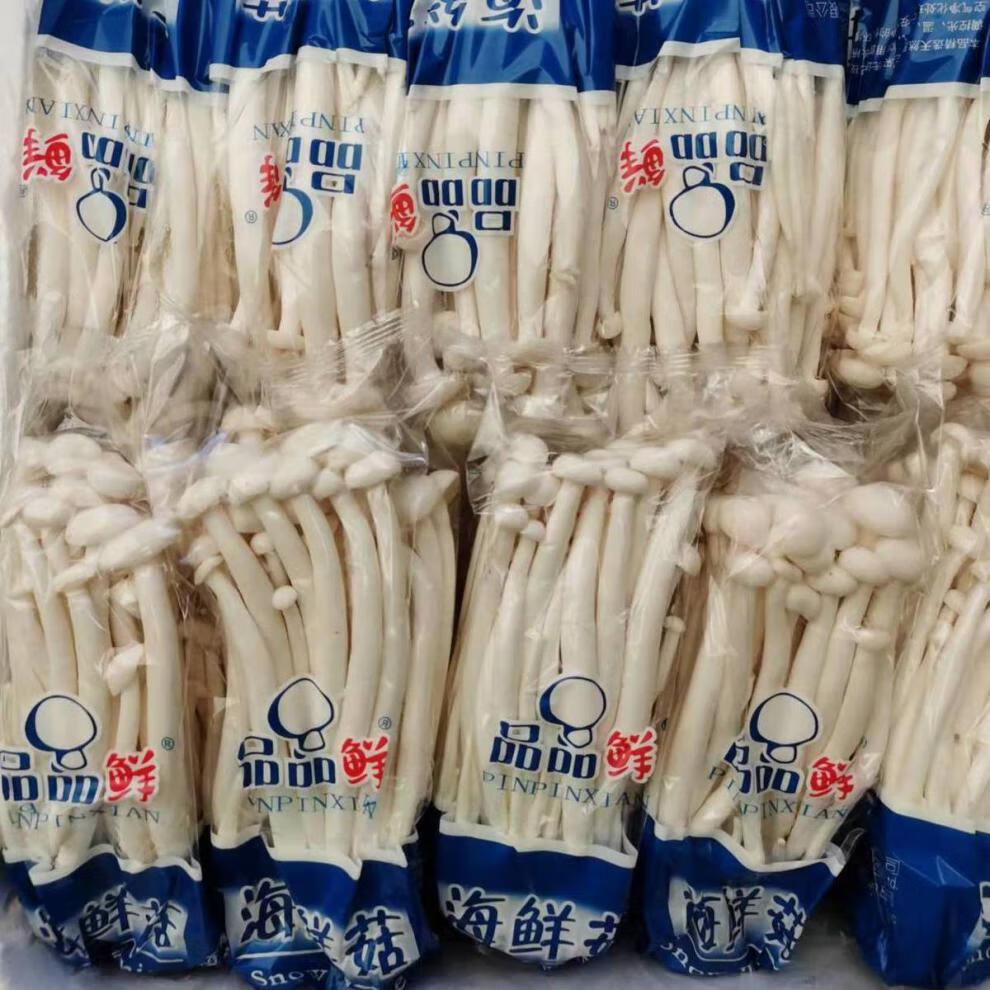 新鲜海鲜菇袋装蘑菇煲汤食用菌菇海鲜菇批发 250g*3