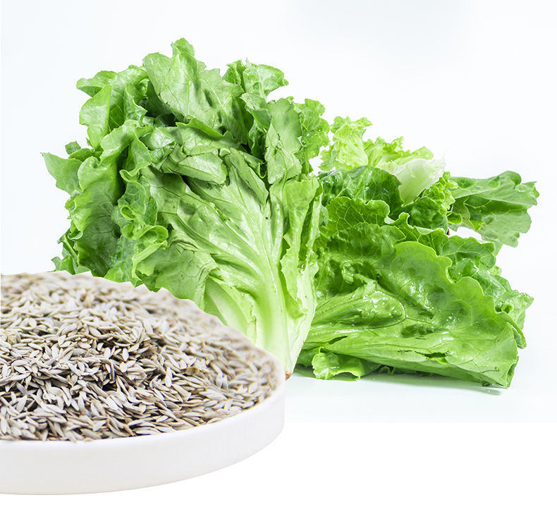 生菜籽粉500g新鲜现磨熟粉扭伤拉伤搭配黄瓜籽粉补钙熟粉生菜籽粉实发