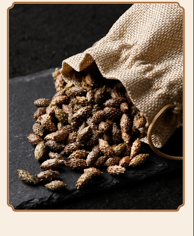 凯史甘斯 (口碑好)【精选】苍耳子中药材无硫新鲜干货非野生去刺苍耳