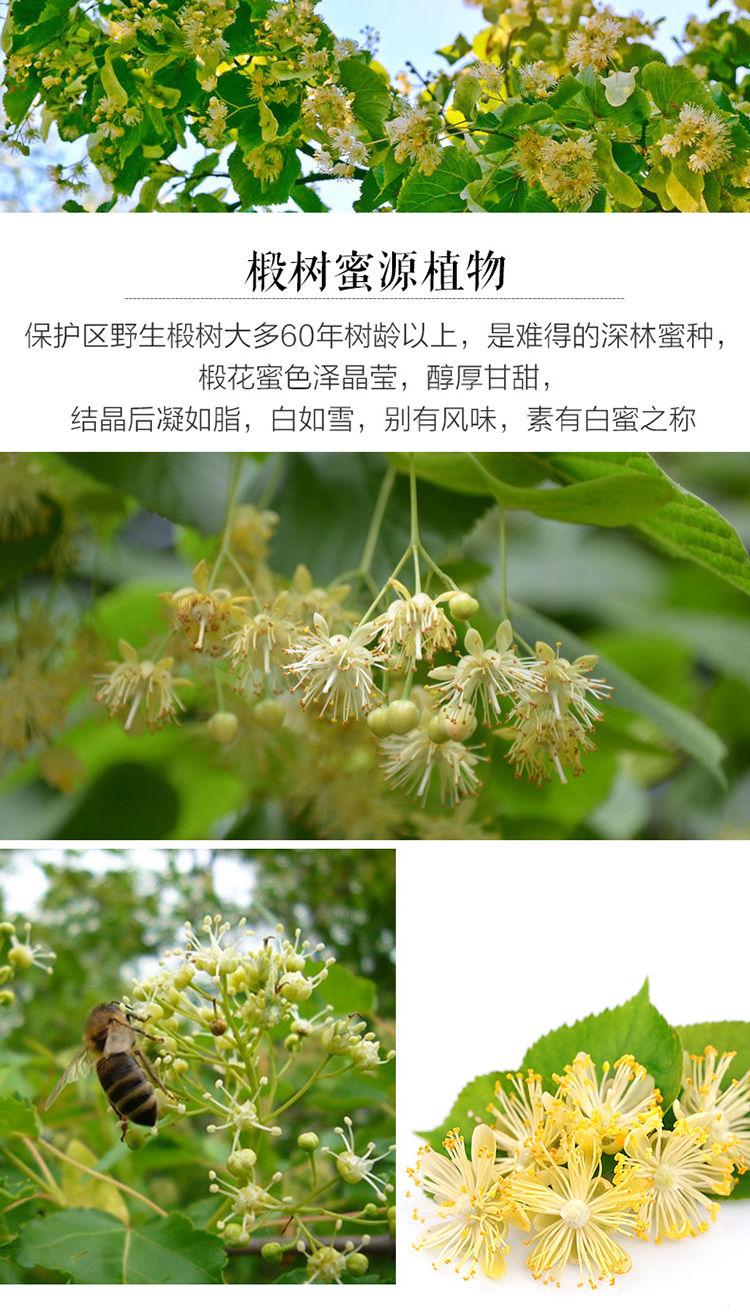 北·大荒蜂蜜椴树雪蜜 饶河东北黑蜂原蜜结晶白蜜灌装 野花蜜1000g*1