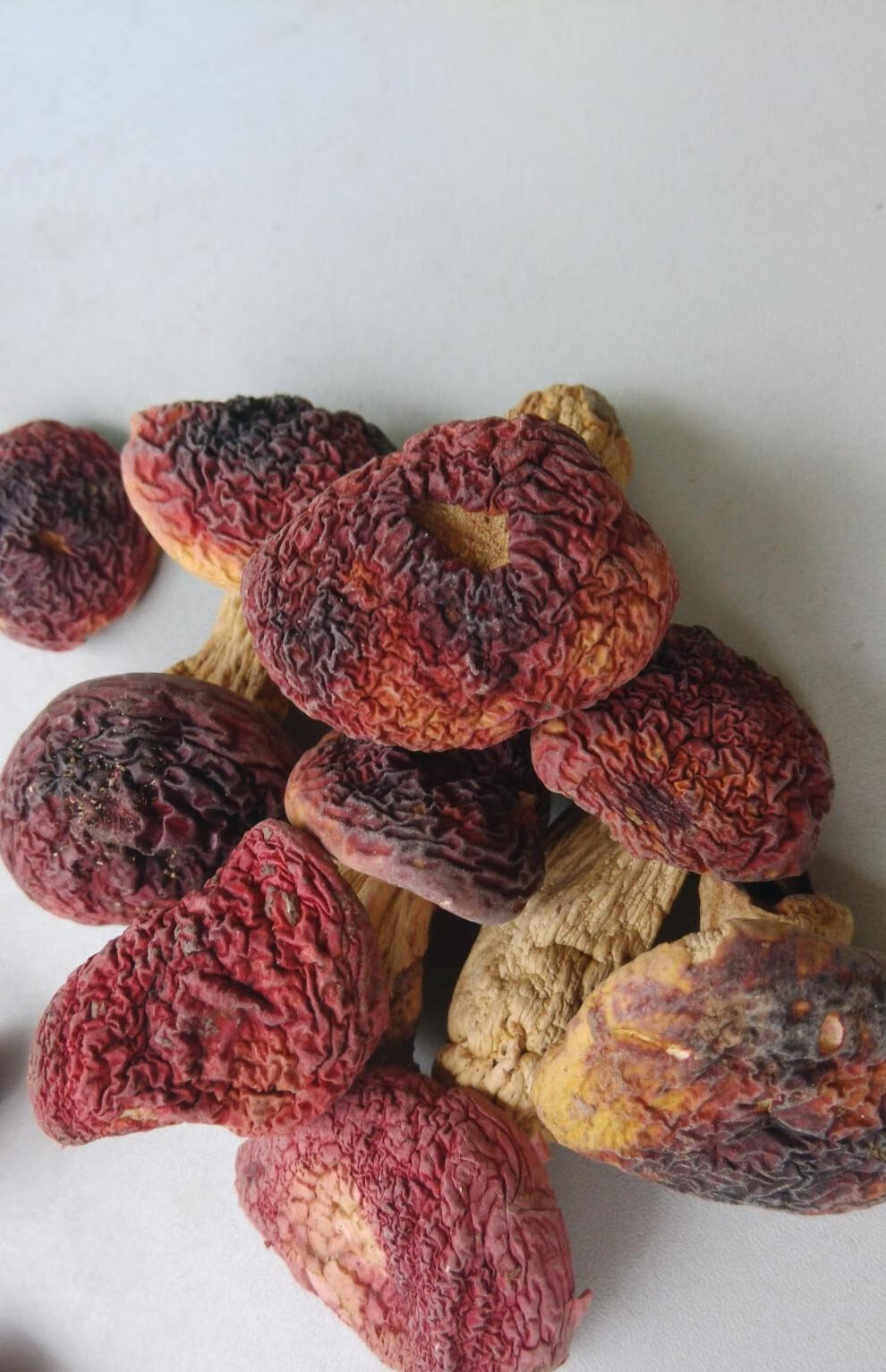 干货福建农家采摘红椎菌红姑500g红蘑菇可礼盒 250g【图片 价格 品牌