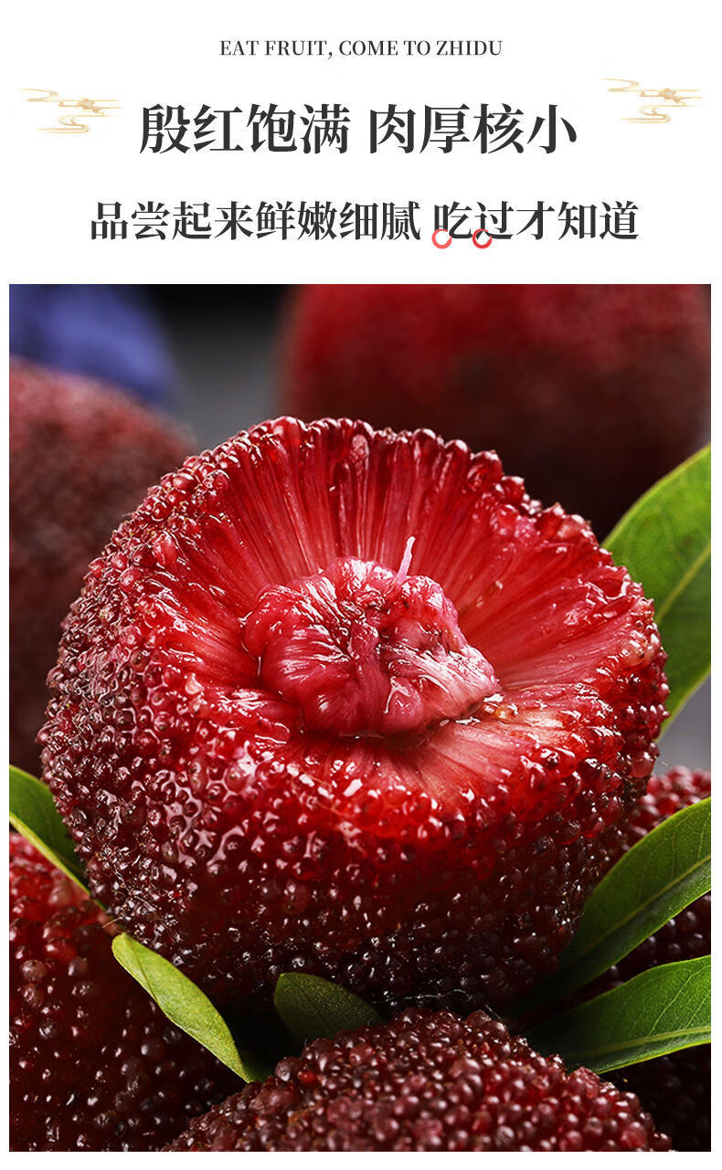 当季新鲜水果泡酒杨梅 9a东魁 6斤【图片 价格 品牌 报价】-京东