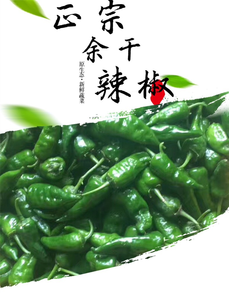 江西特产余干枫树辣椒新鲜辣椒薄皮现摘小青椒整箱 500g【图片 价格 