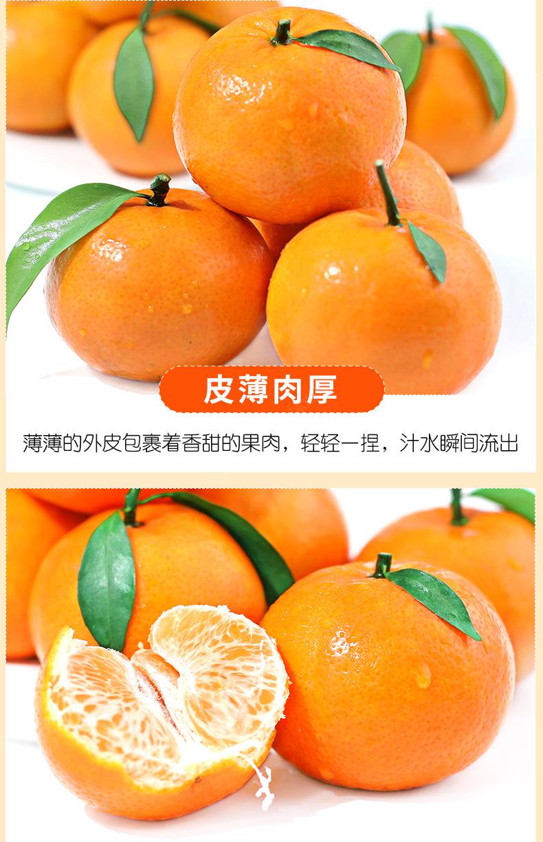 新鲜香妃柑5斤广西武鸣沃柑橘子当季整箱孕妇水果10斤