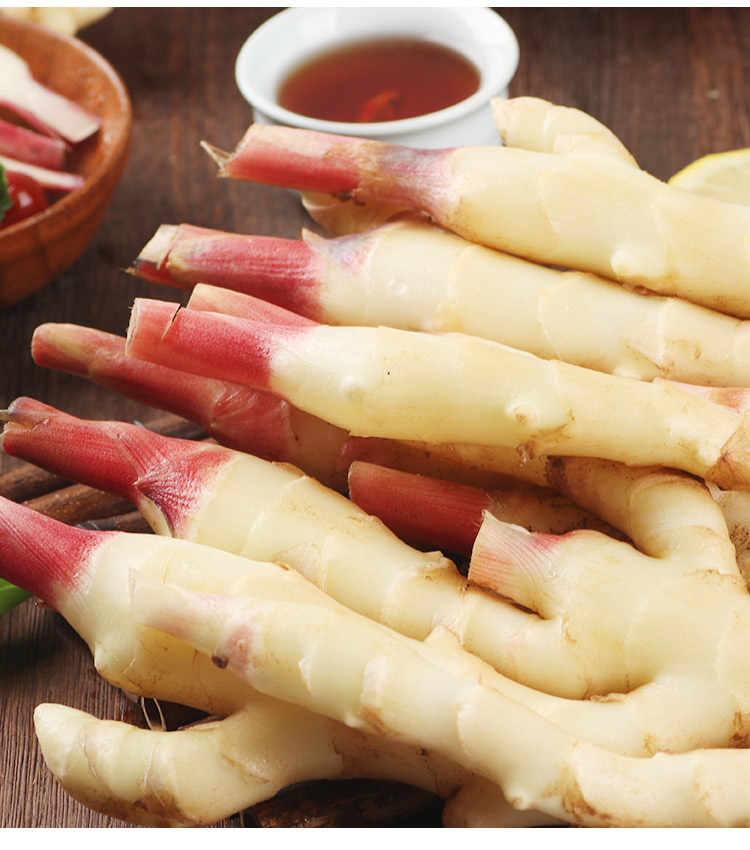 嫩姜嫩生姜子姜鲜姜腌制仔红芽现挖山东过年送礼送人年货生鲜2斤手工