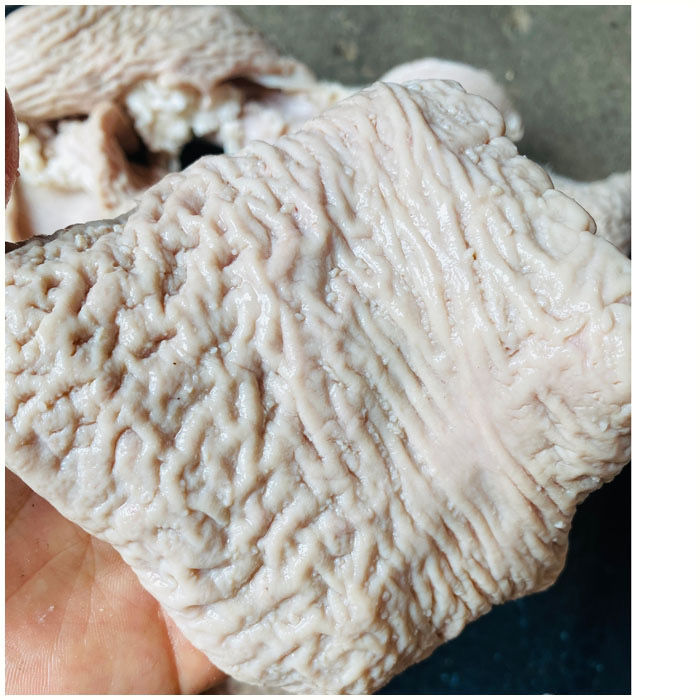 开水烫牛大肠头儿新鲜牛大杂生鲜罗菲迪新1斤