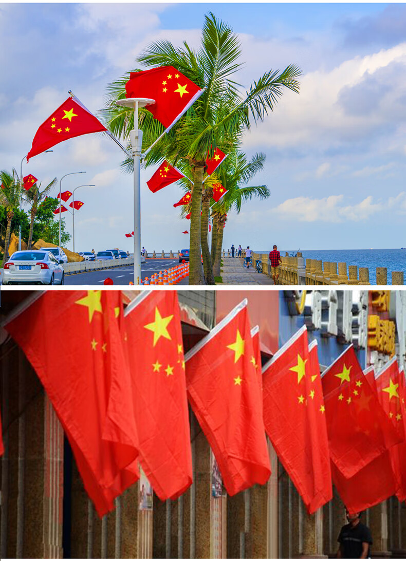 可狄(kedi)国庆节五星红旗中帜防水1号2号3号4号5号党旗手摇旗小灯杆