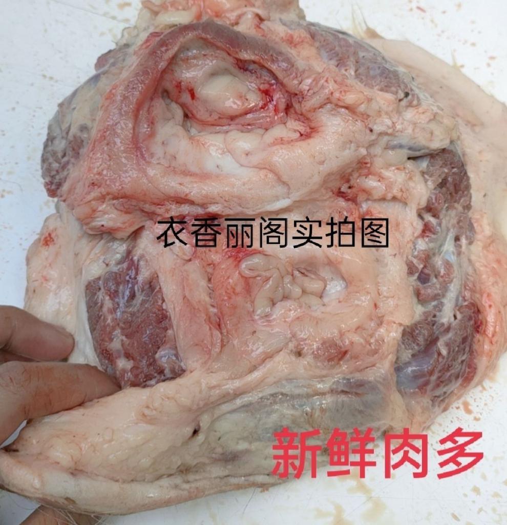 散养现宰黄牛新鲜整套母牛子宫生殖器官牛欢喜进补炖汤食材 包处理2