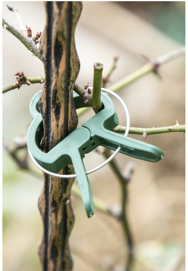 固定花的夹子蝴蝶兰支架支撑杆造型架子园艺花卉夹子蔓藤爬藤植物固定