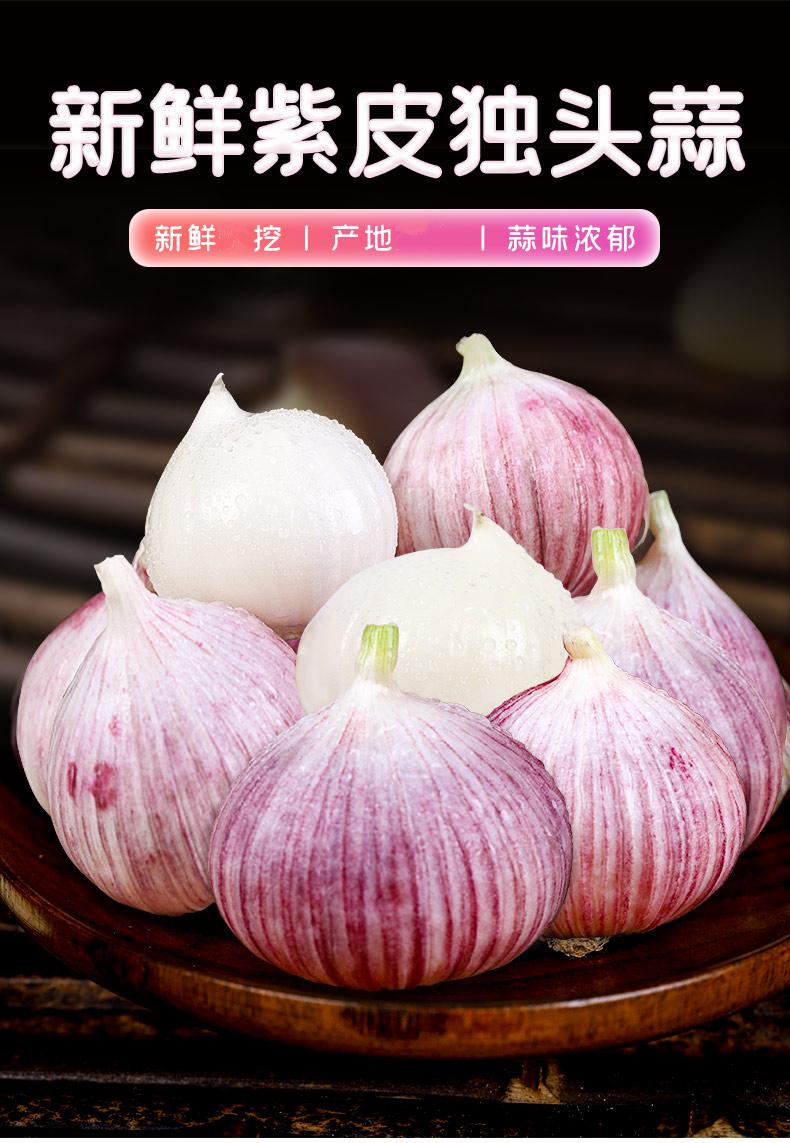 新鲜云南紫皮大蒜紫皮蒜独头蒜农家紫皮大蒜头红皮5斤