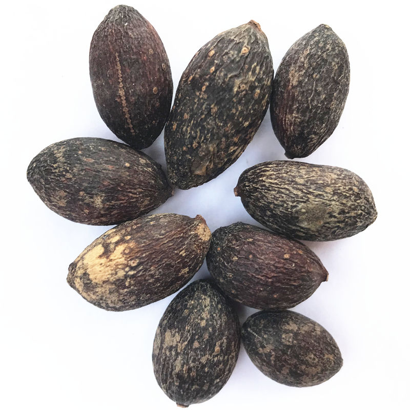 亏本卖啦葵树子500g葵树籽葵扇子葵扇籽蒲葵子蒲扇种子扇叶葵子中药材