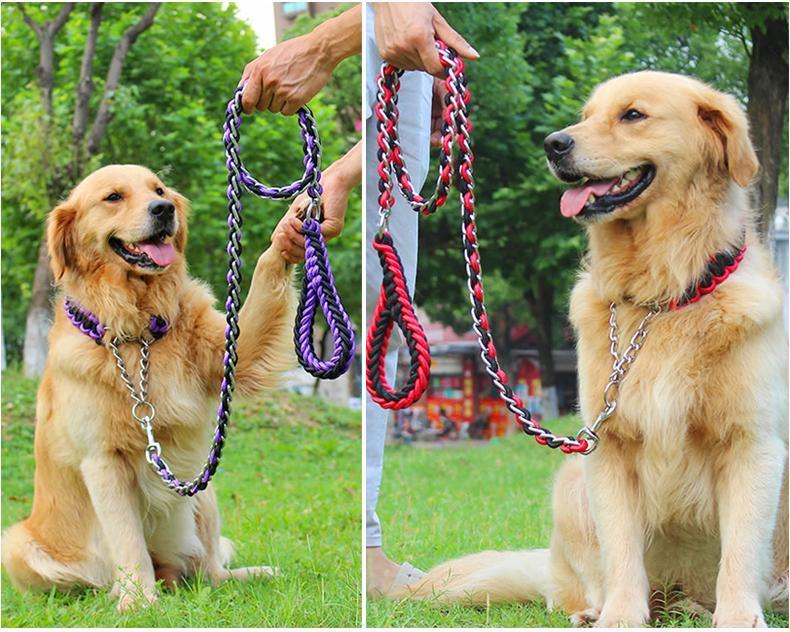 防咬狗链子铁链中型犬大型犬遛狗牵引绳拉布拉多萨摩耶狗绳子 蓝黑