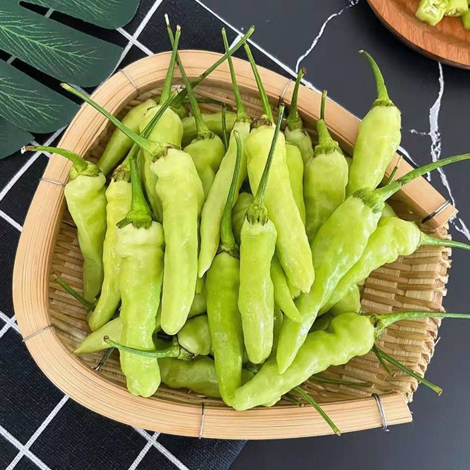 采缇 小米辣黄白皱皮特辣泡椒小米椒云南特产临沧耿种植 500g【图片