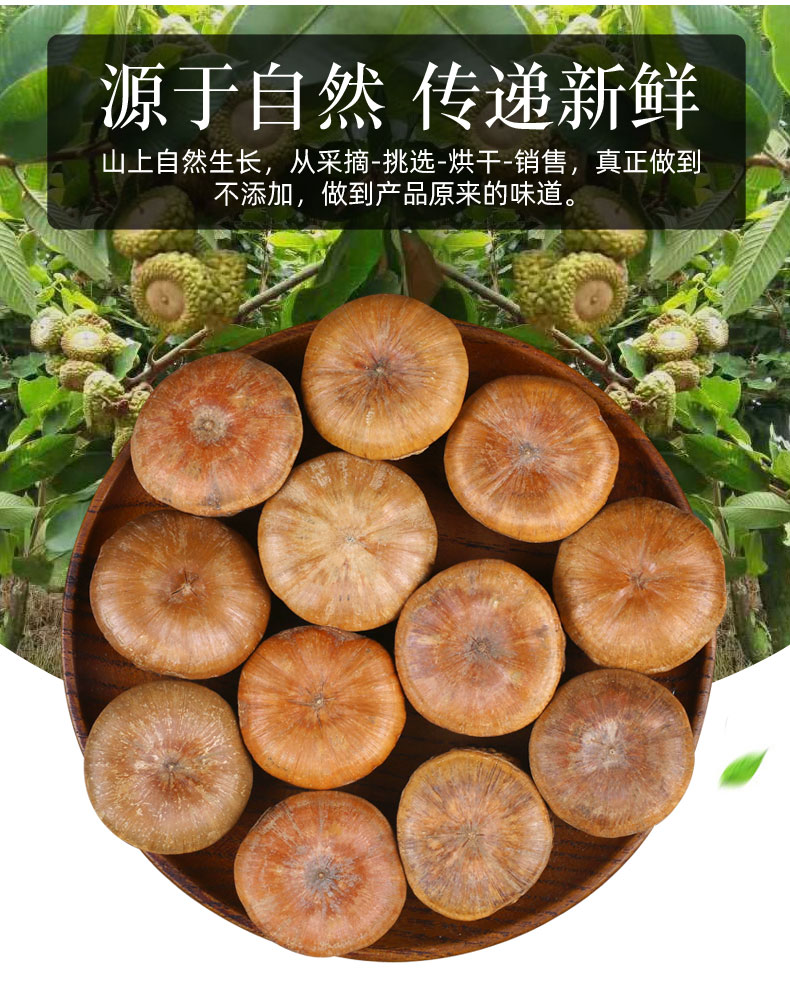 广西风流果纯野生新鲜阴阳子双肾子天竺粒泡酒泡茶精选厚鳞柯500g