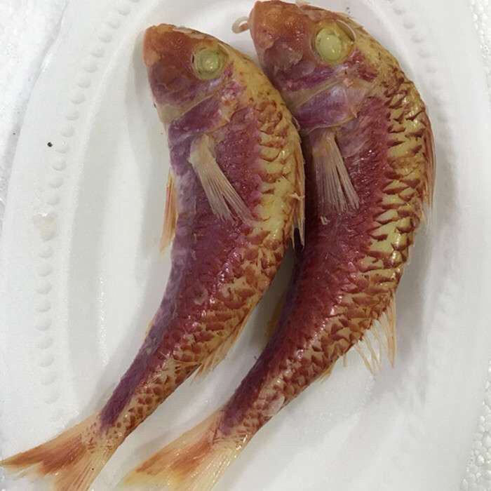 潮汕小红鱼叫什么名字图片
