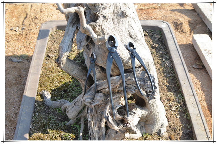 逍遥斜口钳叉枝剪斜口斜切剪盆景造型制作养护工具掌柜 朱记280mm斜口