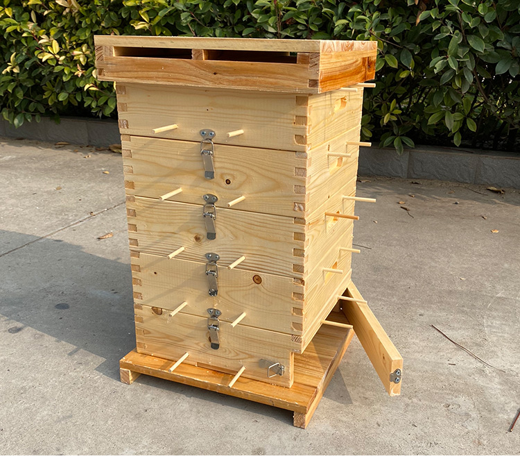 5cm养蜂箱懒人蜂箱 5层杉木不煮蜡格子箱厚度2.0cm 内径27.