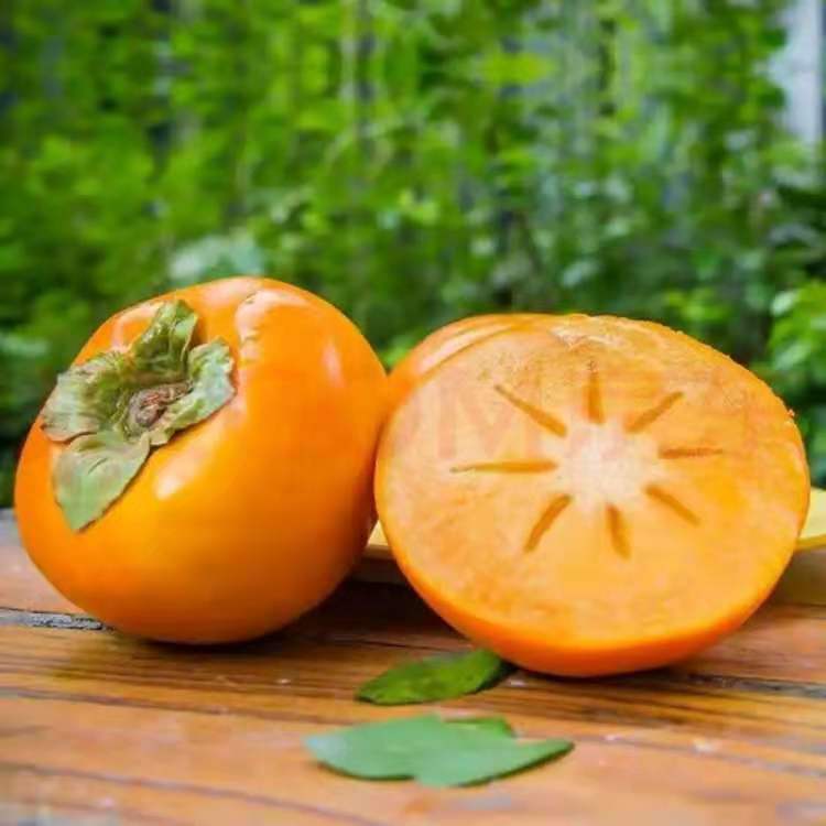 年货精选云南脆柿子新鲜水果当季整箱黄甜硬柿子火晶特产批发大软5斤