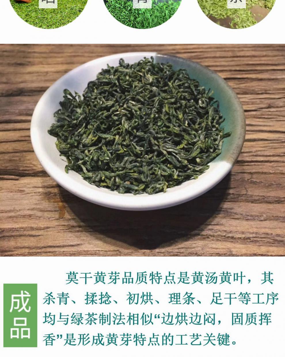 莫干山黄芽75g罐莫干黄芽2021新茶春明前高山云雾绿茶莫干山旅游特产