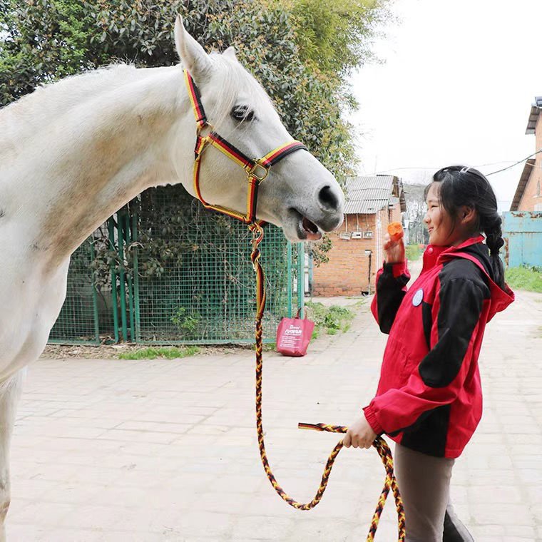 马术龙套马具马笼头头套马龙头牵马调教龙头牛驴笼套结实龙头 加强防