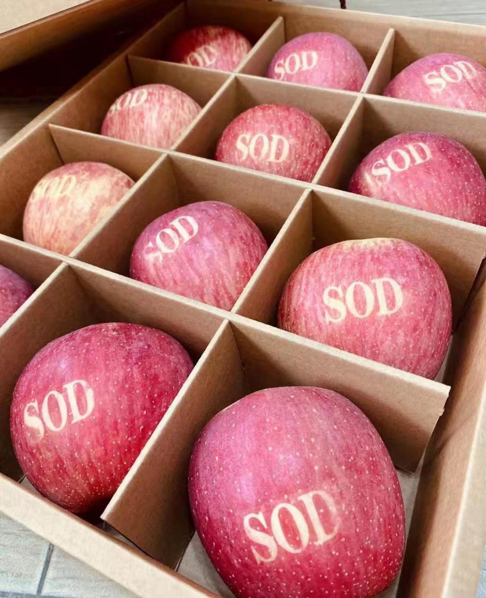 顺丰直达灵宝寺河山sod苹果新鲜水果精品红富士礼盒脆甜糖心90mm含