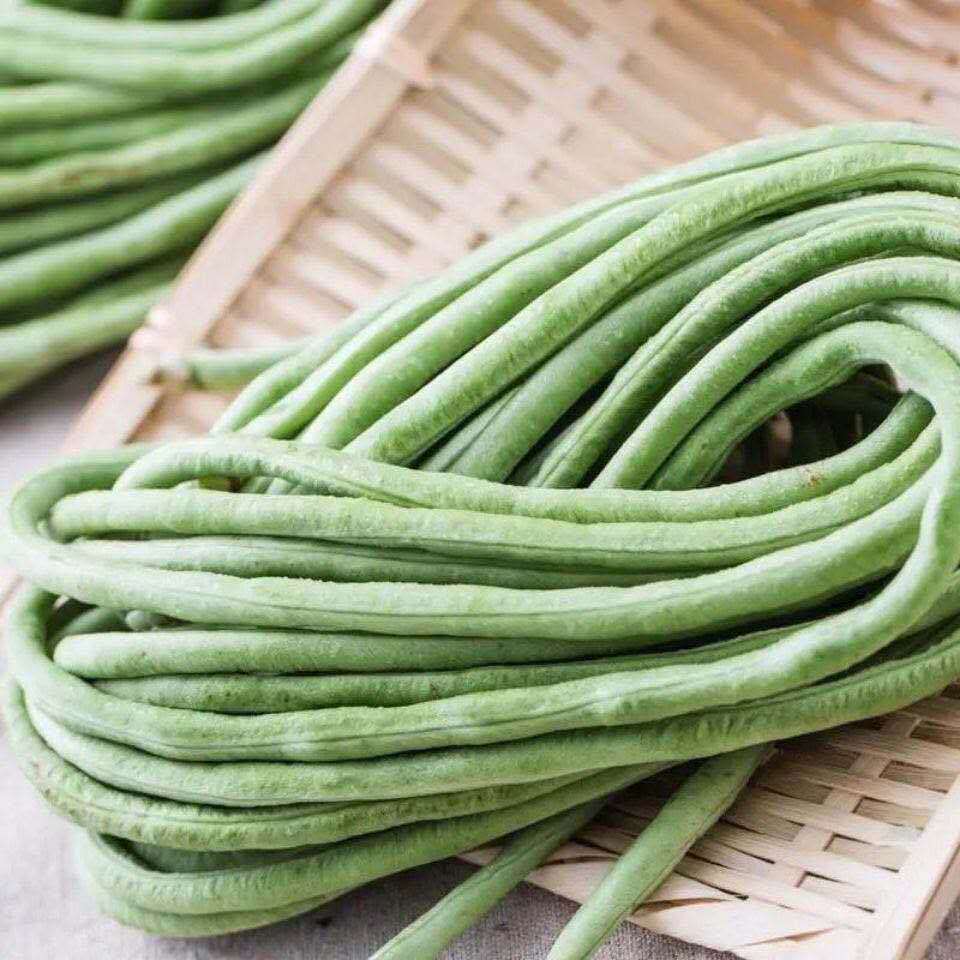 新鲜蔬菜长豆角嫩豆角云豆角泡酸菜豆角现摘现发农家自种 保温棉加冰3