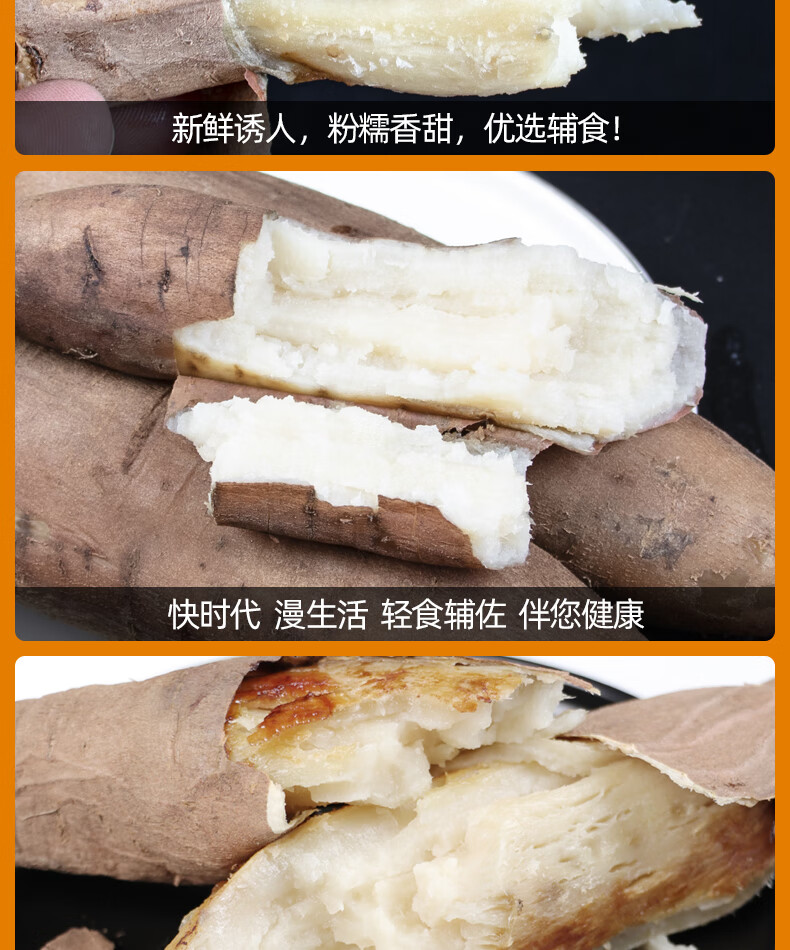 山东冰糖蜜薯现挖现发新鲜白心蜜薯沙地白薯粉糯地
