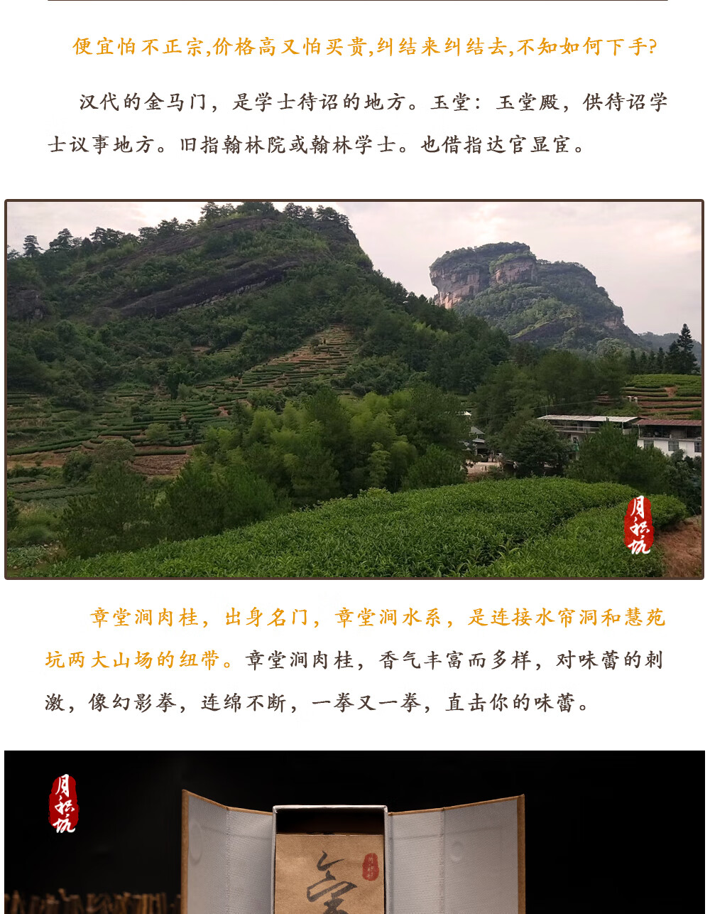章堂涧肉桂马头岩牛栏坑大红袍正岩坑涧肉桂盒装