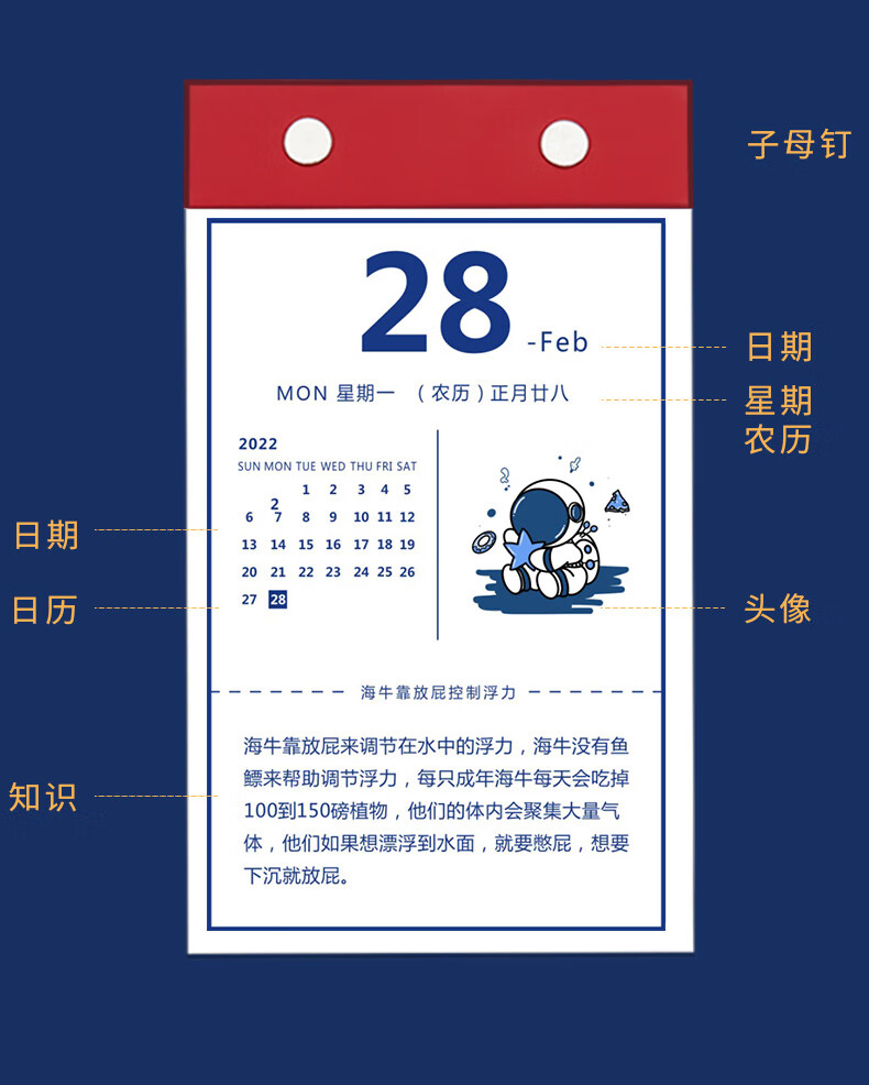 酷力郎2022年知识日历有问题有答案的台历创意简约办公日历桌面摆件