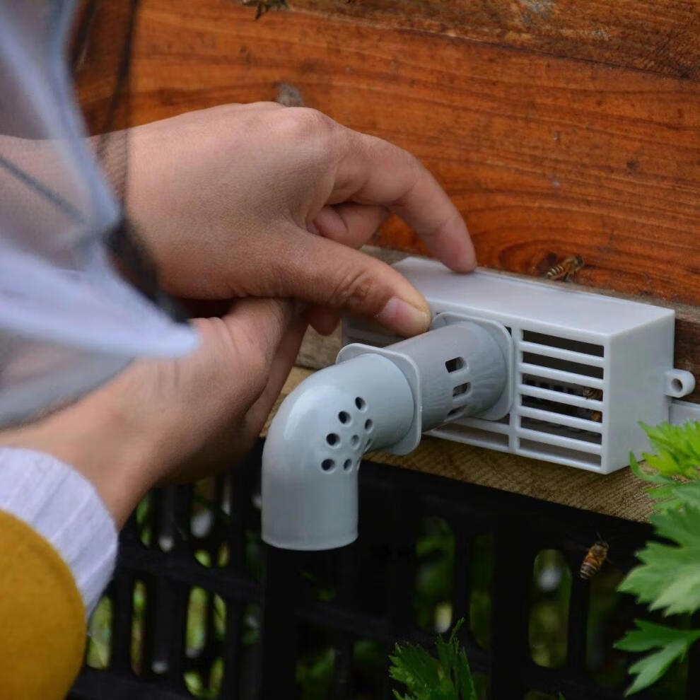 凌青中蜂自动收王分蜂器收蜂神器分蜂收王器分蜂器除雄蜂中自动收蜂器