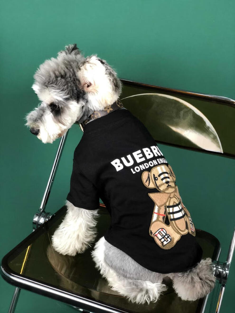 狗狗衣服夏季薄款t恤潮小熊短袖小型犬泰迪雪纳瑞柯基博美宠物装黑色