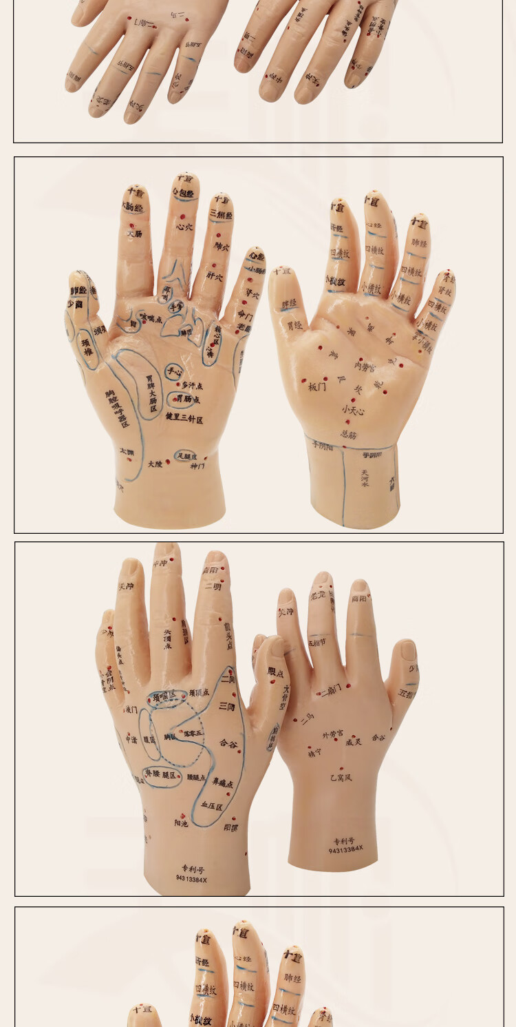 丰帆小儿特定穴位推拿专用手小儿按摩手部模型左手儿童小孩儿咳嗽腹泻